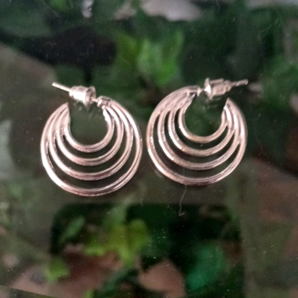 🦋SS Hoops Brand New